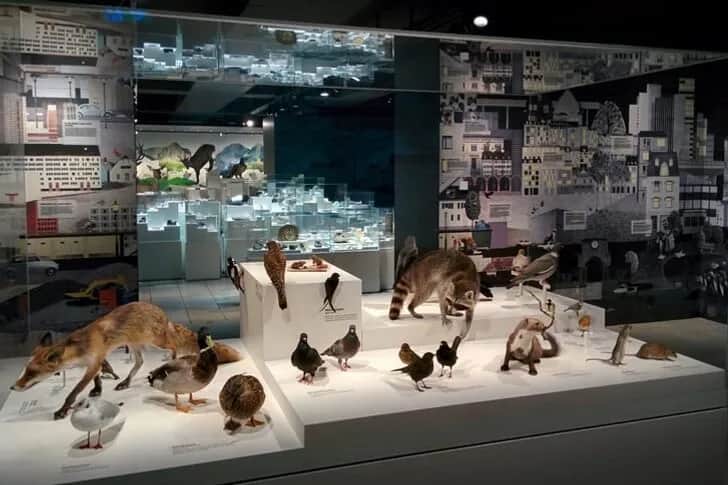 Muzeum Sztuki w Bazylei – odkryj fascynujące kolekcje i historie