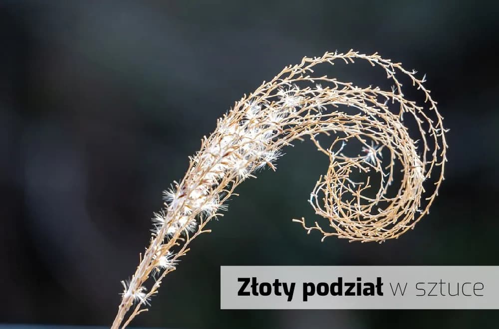 Złoty podział w malarstwie: jak proporcje wpływają na sztukę